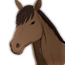 馬