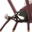 蛛絲雄蛛