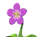 Red Walking Flower