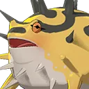 Spiky Rush Frog