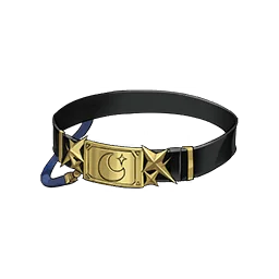 Twisted Wish Belt