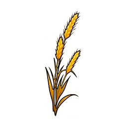 보리