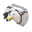 Domesticated Seagull
