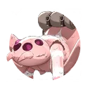 Pet Spider