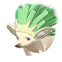 Scaredyhog