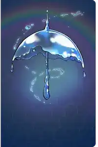 水障