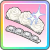 憧れ続けた輝き
