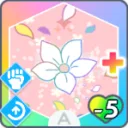 開花+