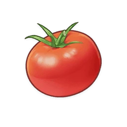 Tomato
