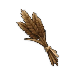 Rye