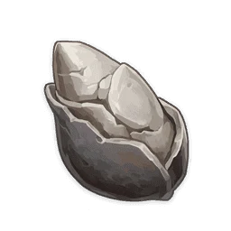 Sand Grease Pupa
