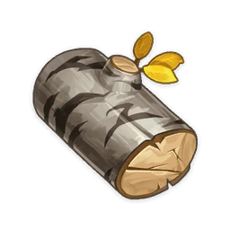 Birch Wood