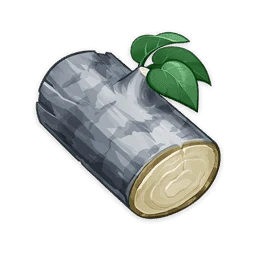 Silver Fir Wood