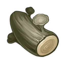 Hazelnut Wood