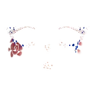 Rosedream Mark