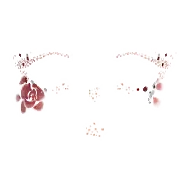 Rosemoon Sigil