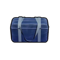 School Uniform Bag