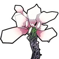 塞潤尼緹