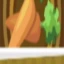 Carrots