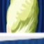 Napa Cabbage