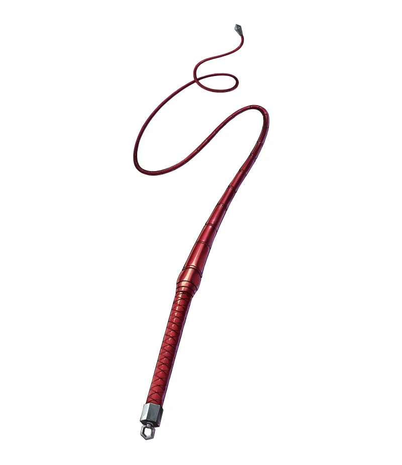 Leather Whip