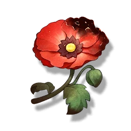 Belle Poppy