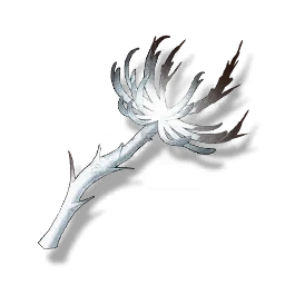 Erodorchid