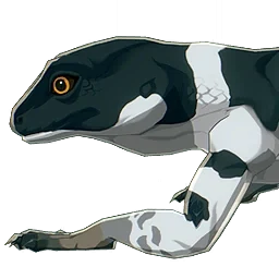 Silver-Banded Lizard