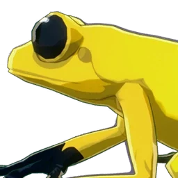 Goldenback Frog
