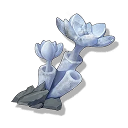 Stone Rose