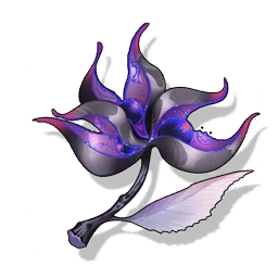 Dream of Stars