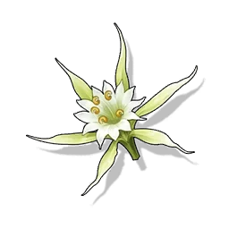 Blade Blossom