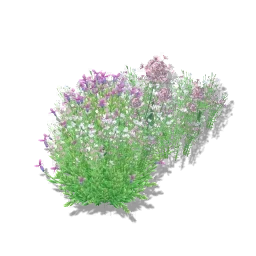 淡いピンクの花壇