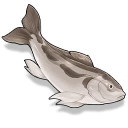 Familiar-looking Large Fish
