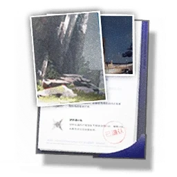 Dhalifa's Forte Evaluation Report