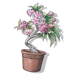 桜の盆栽